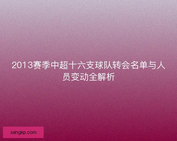 2013赛季中超十六支球队转会名单与人员变动全解析