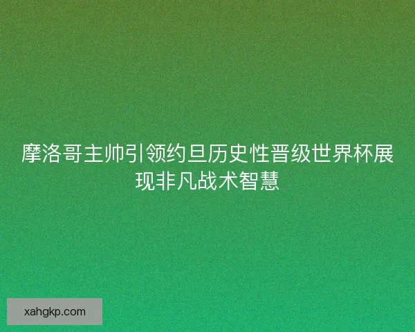 摩洛哥主帅引领约旦历史性晋级世界杯展现非凡战术智慧